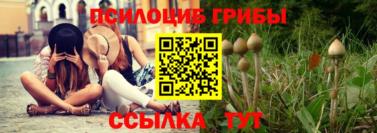 Псилоцибиновые грибы мухоморы  Галлюциногенные грибы ЛСД  Вход с VPN  Ивантеевка 