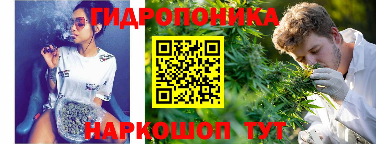 Шишки марихуана план Ивантеевка